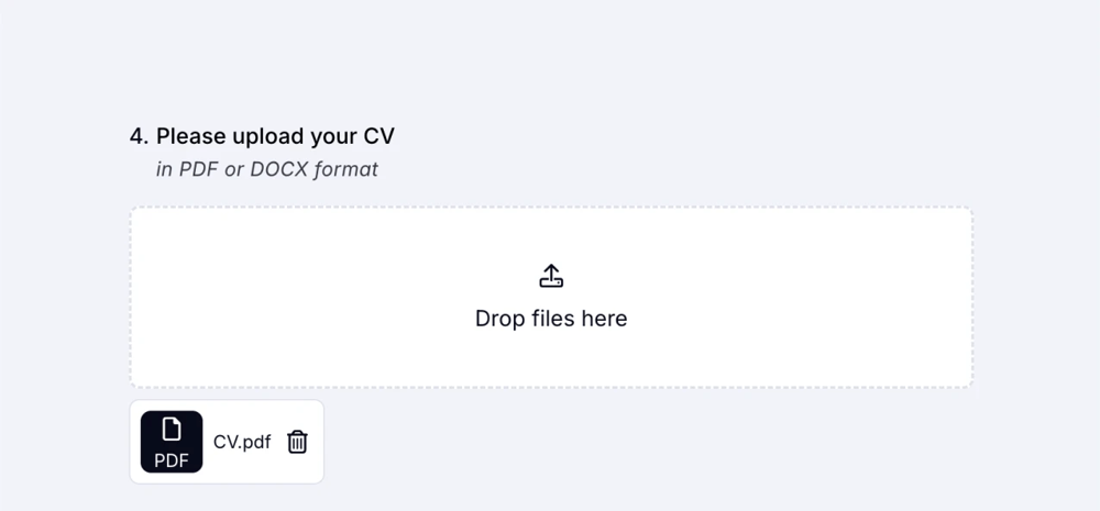 An image showing an example of the “File Upload” field usage when collecting the CV documents
