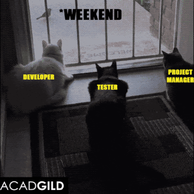 #37 Developer Meme - Source:&nbsp;Giphy