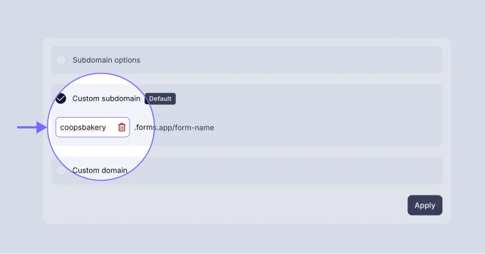An image showing the section where you need to enter your custom subdomain name