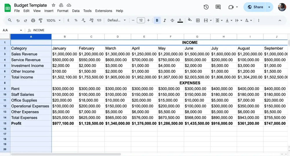 Ingresa tus datos financieros
