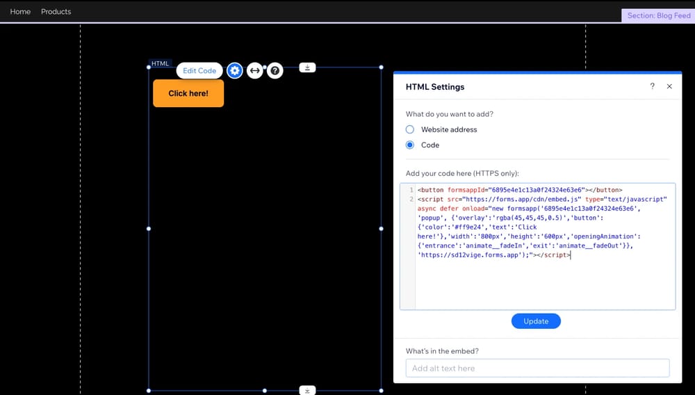 An image showing an example of how you can add the code to the website editing area for future embedding