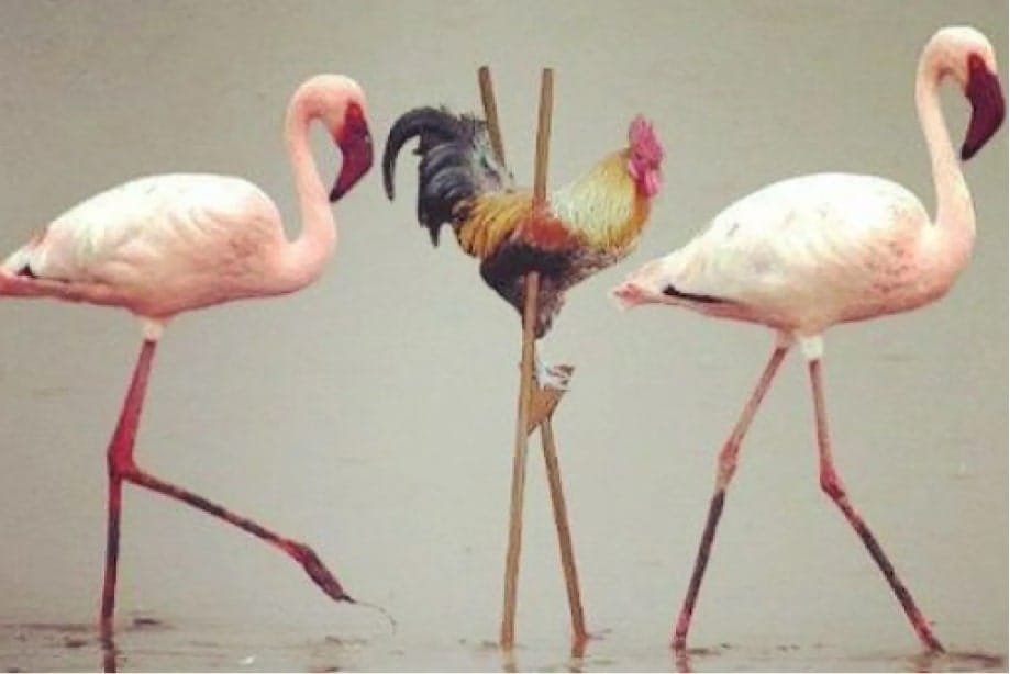 #37 HR meme - Source: zenhr