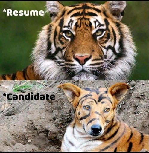 #4 HR meme - Source: peoplehum