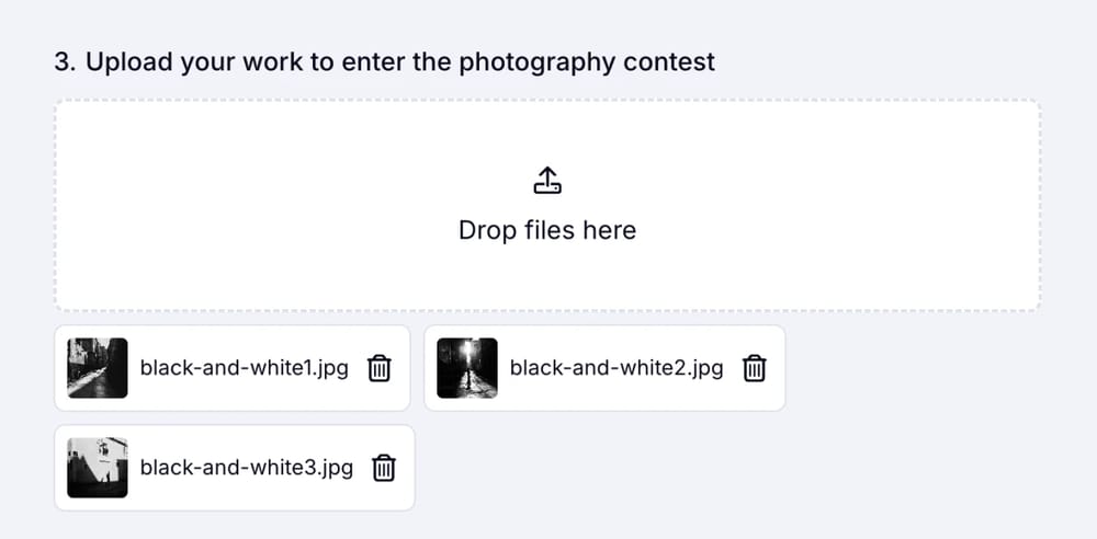 An image showing an example of the “Image Upload field” usage with the uploaded files by a respondent