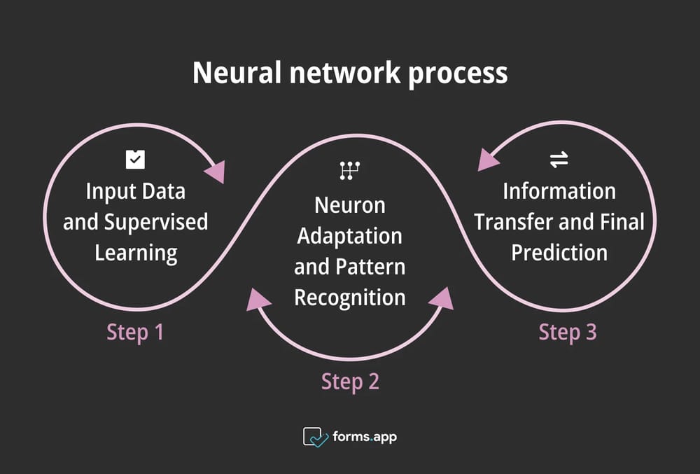 Proceso de la red neuronal