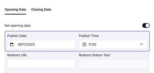 An image showing an example of an entered form’s publish date and time in the needed area