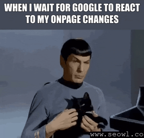 #19 SEO meme - Source: Einstein Marketing 