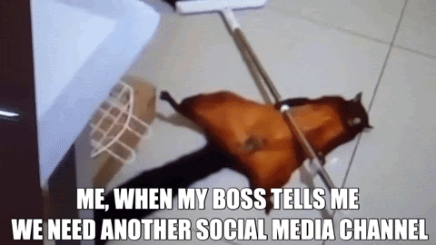 #24 Social Media Meme - Source:&nbsp;Giphy