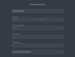 Travel Consent Form Template