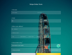 Stripe Order Form Template