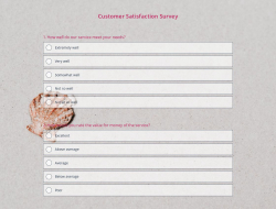 Customer Satisfaction Survey Template