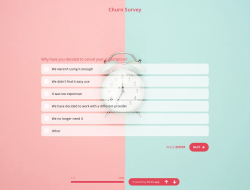 Churn Umfragevorlage