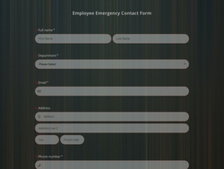 Employee Emergency Contact Form Template