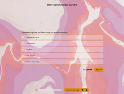 User Satisfaction Survey Template