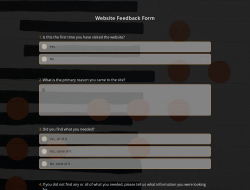 Website Feedback Form Template