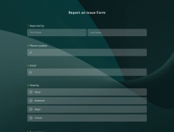 Report an Issue Form