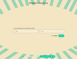 Workplace Safety Survey