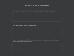 Marketing Strategy Questionnaire