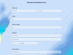 Volunteer Availability Form