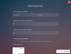 PayPal Ödeme Formu Şablonu