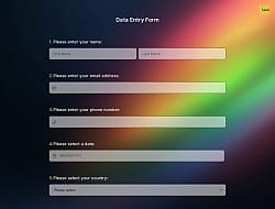 Data Entry Form
