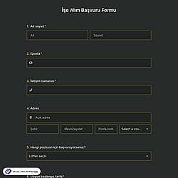 İşe Alım Başvuru Formu Şablonu