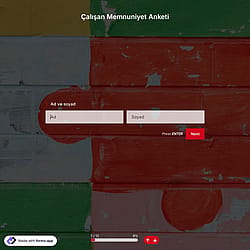 Çalışan Memnuniyeti Anketi Şablonu