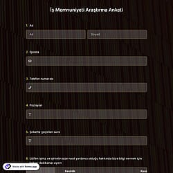 İş Memnuniyeti Araştırma Anketi Şablonu