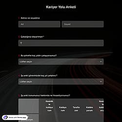 Kariyer Yolu Anket Şablonu