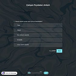Çalışan Faydaları Anket Şablonu