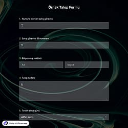 Örnek Talep Formu Şablonu