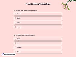 Französisch-Vokabelquiz