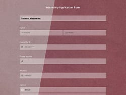 Internship Application Form Template