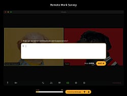 Remote Work Survey