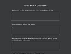 Marketing Strategy Questionnaire