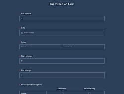 Bus Inspection Form