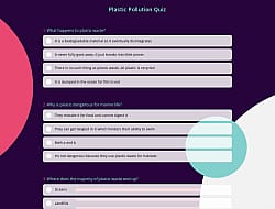 Plastic Pollution Quiz