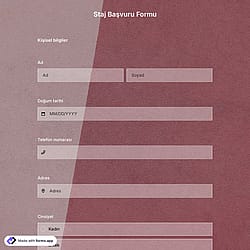 Staj Başvuru Formu Şablonu