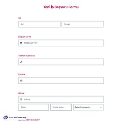 İş Başvuru Formu Şablonu