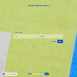 Stripe Ödeme Formu Şablonu