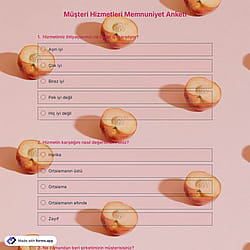 Müşteri Hizmetleri Memnuniyet Anketi Şablonu