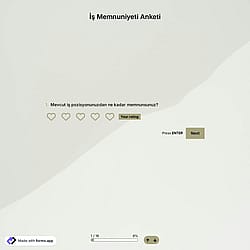 İş Memnuniyeti Anketi Şablonu