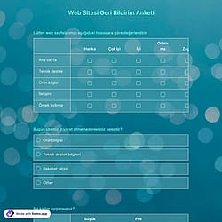 Web Sitesi Geri Bildirim Anketi Şablonu