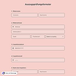 Auszugsprüfungsformular