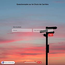 Questionnaire sur le Choix de Carrière