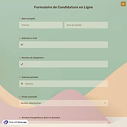 Formulaire de Candidature en Ligne