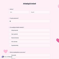 Arkadaşlık Anketi