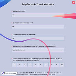 Enquête sur le Travail à Distance