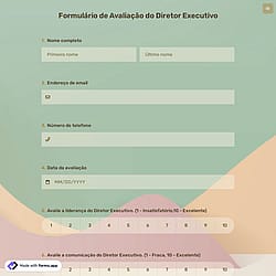 Formulário de Avaliação do Diretor Executivo