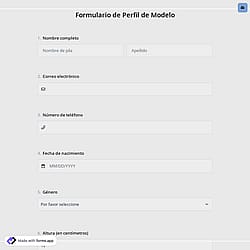 Formulario de Perfil de Modelo